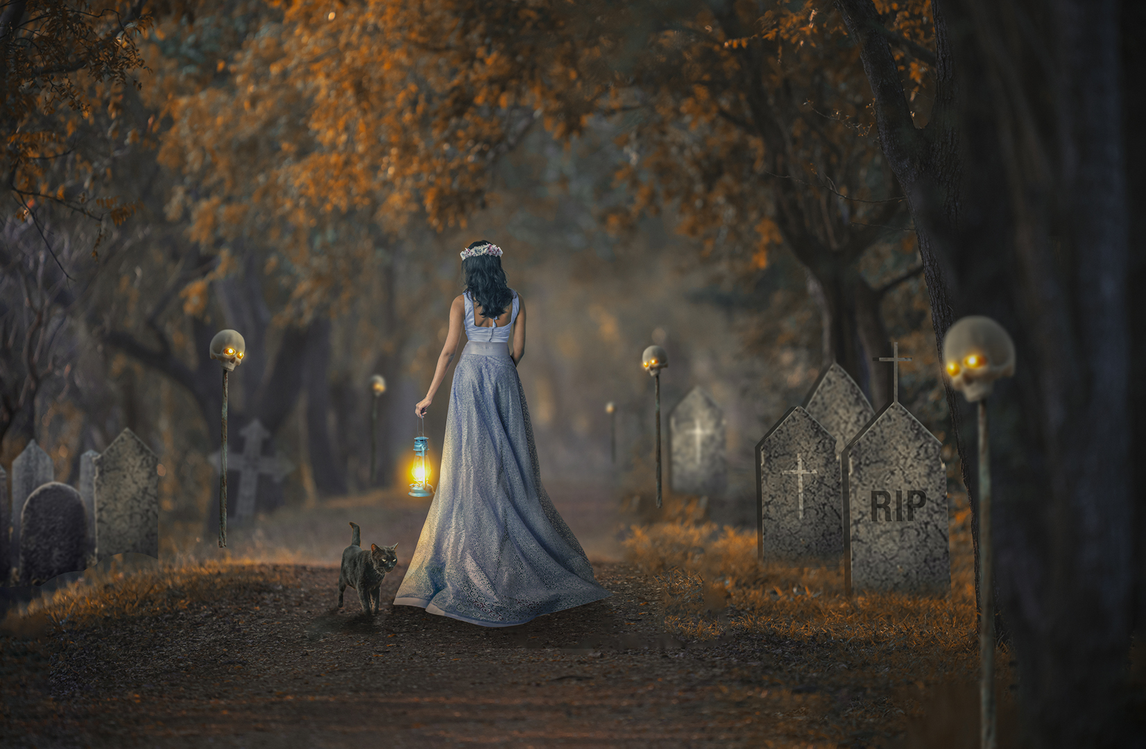 Walking with The Cat 2
